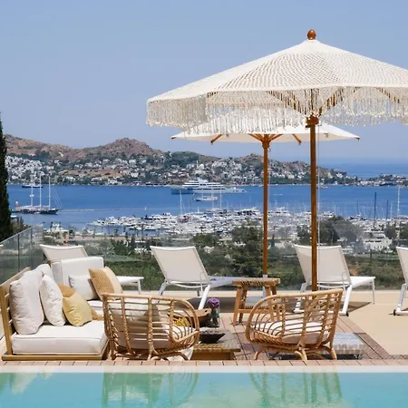 Birdcage 33 - Adult Only Hotell