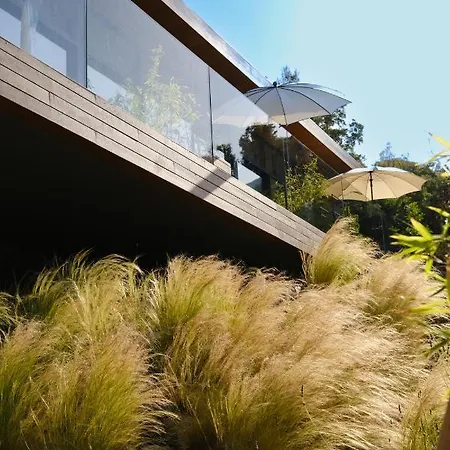 Birdcage 33 - Adult Only *