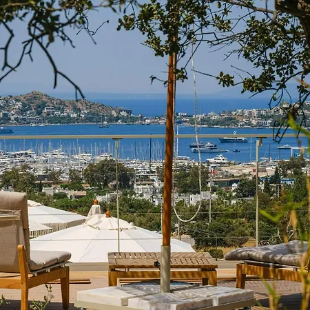 Hotell Birdcage 33 - Adult Only *