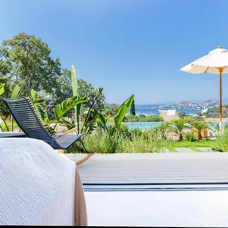 Birdcage 33 - Adult Only *