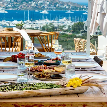 Hotel Birdcage 33 - Adult Only *