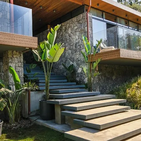 Birdcage 33 - Adult Only