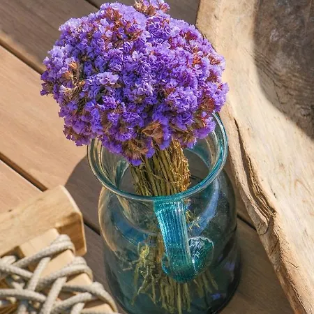 Отель Birdcage 33 - Adult Only *