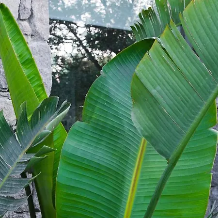 Hotel Birdcage 33 - Adult Only Yalikavak