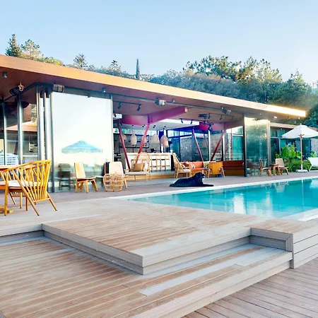 Birdcage 33 - Adult Only *