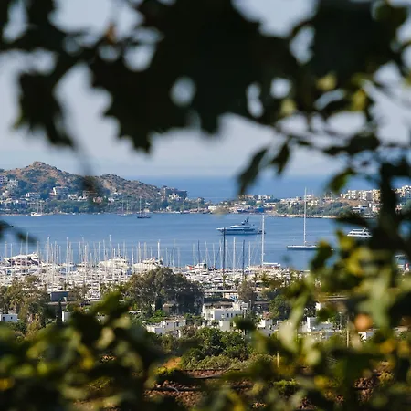 Birdcage 33 - Adult Only Hotel