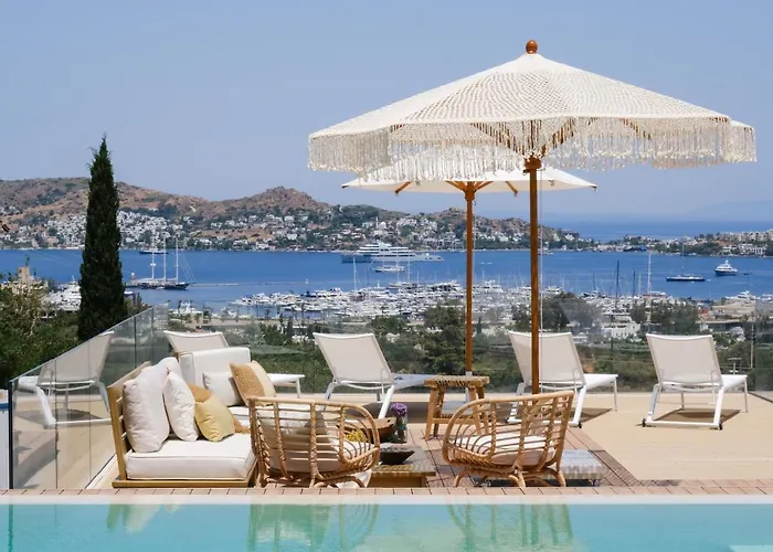 Birdcage 33 - Adult Only Hotel