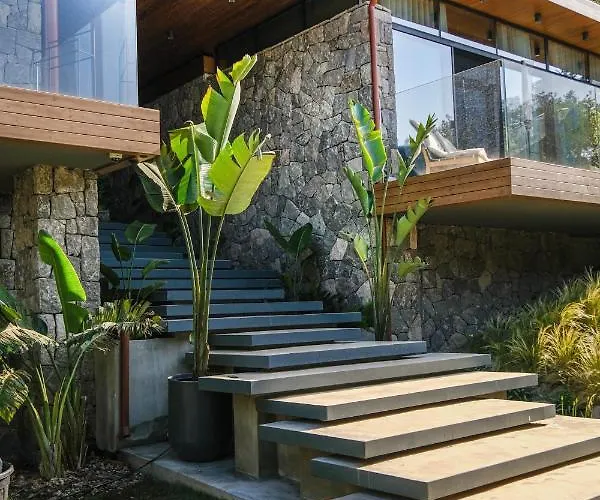 Birdcage 33 - Adult Only