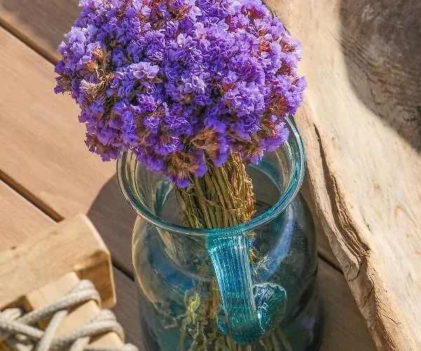 מלון Birdcage 33 - Adult Only *