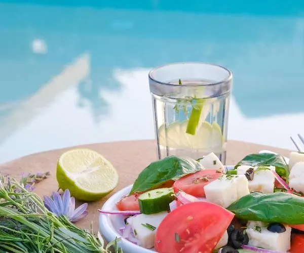 Birdcage 33 - Adult Only * יאליקאבאק