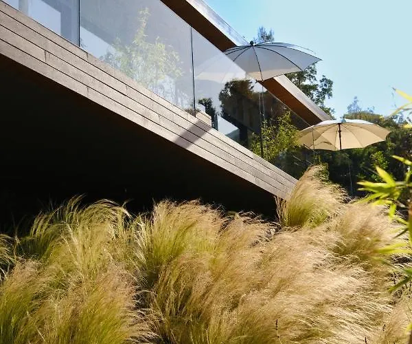 Birdcage 33 - Adult Only *