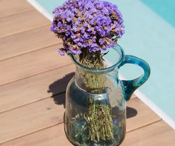 Birdcage 33 - Adult Only מלון *