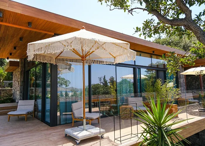 Birdcage 33 - Adult Only * יאליקאבאק