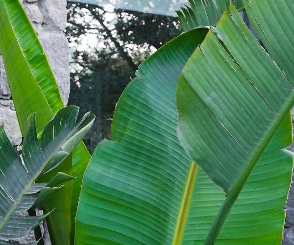 מלון Birdcage 33 - Adult Only יאליקאבאק