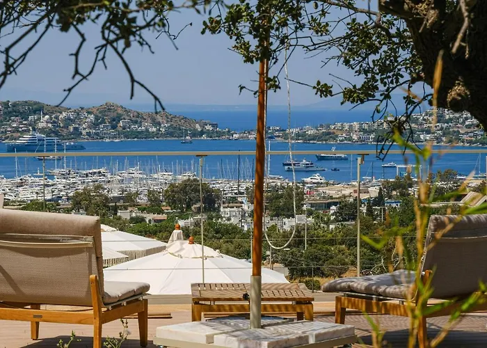 מלון Birdcage 33 - Adult Only *