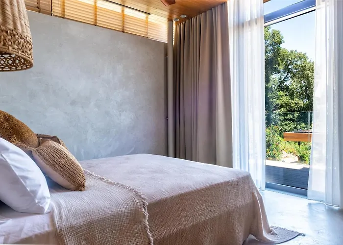 Birdcage 33 - Adult Only *