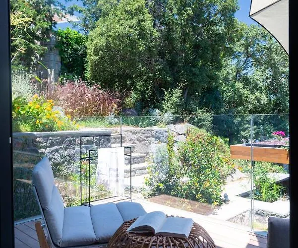 Birdcage 33 - Adult Only