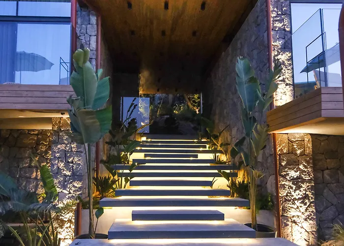 Birdcage 33 - Adult Only