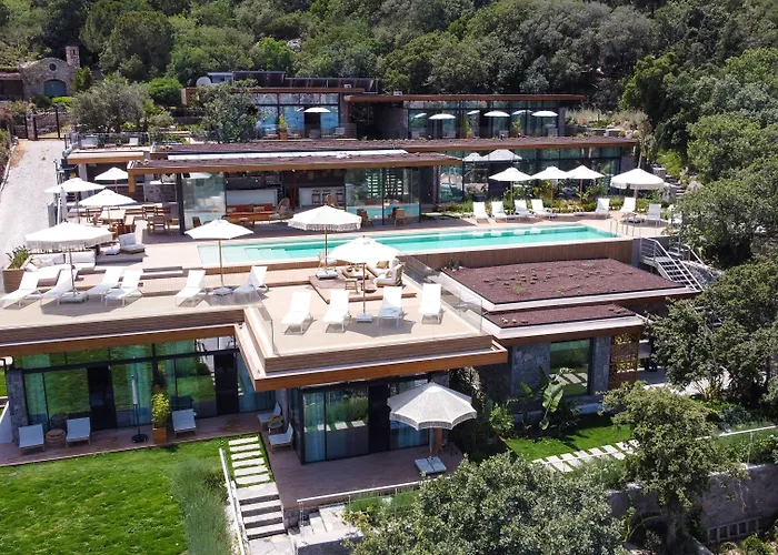 Birdcage 33 - Adult Only יאליקאבאק