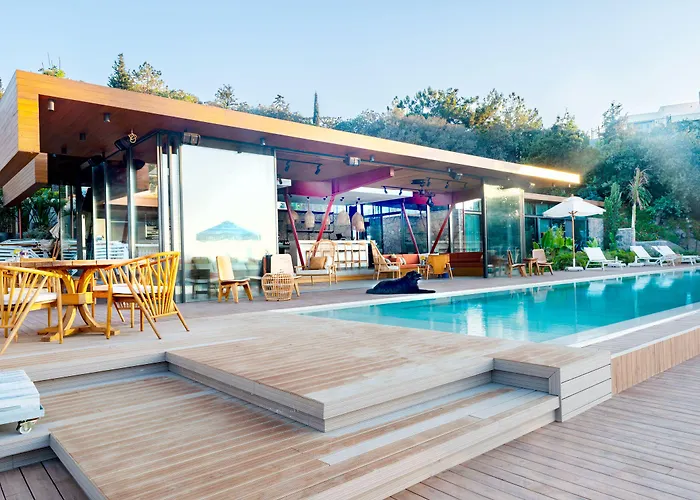 Birdcage 33 - Adult Only *