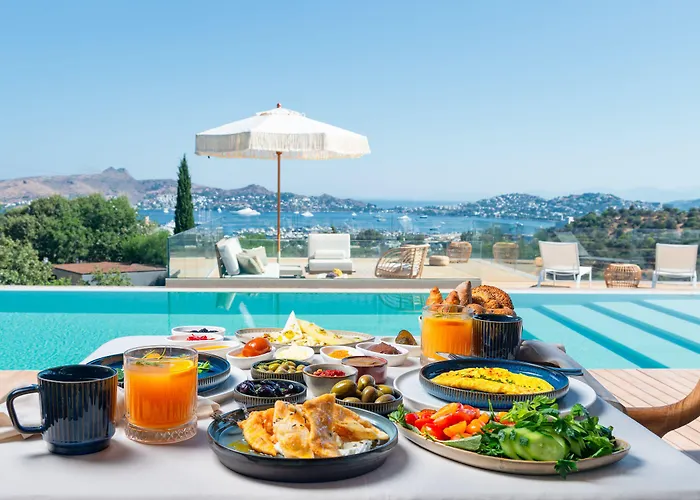 Birdcage 33 - Adult Only מלון יאליקאבאק