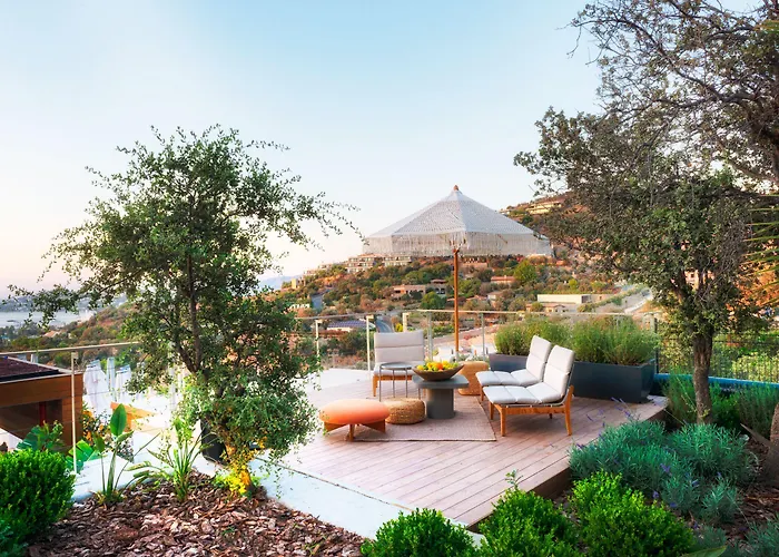 Hotel Birdcage 33 - Adult Only