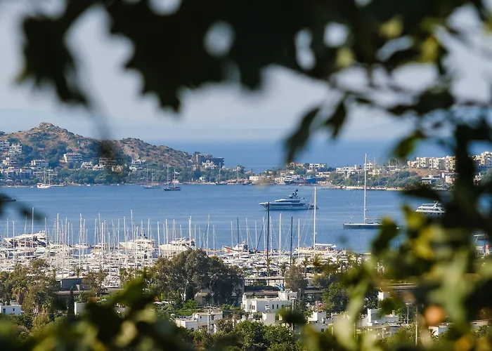 Birdcage 33 - Adult Only מלון